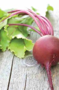 Fresh Clips: Growing Salad Greens